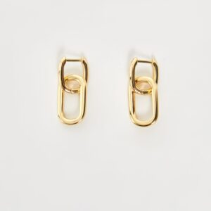Dani Earrings Fashion